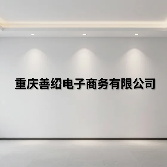 重庆善绍电子商务有限公司项目流程介绍