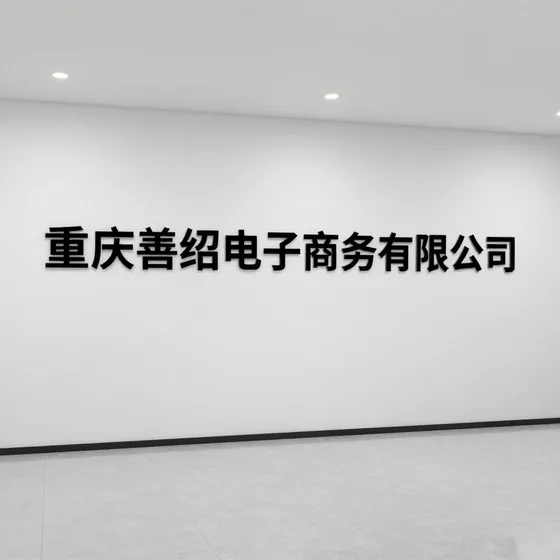 重庆善绍电子商务有限公司行业解析