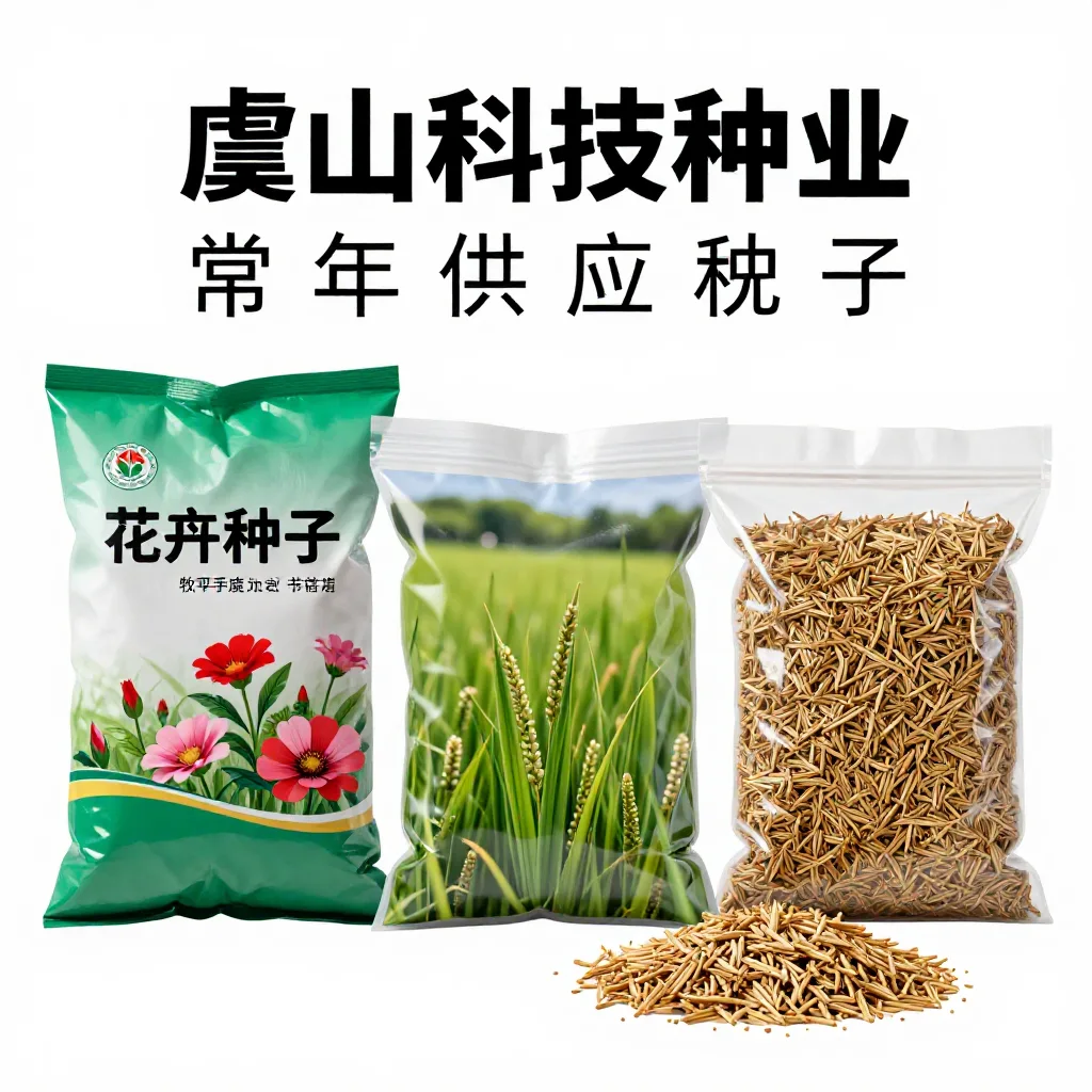 重庆善绍电子商务有限公司行业解析